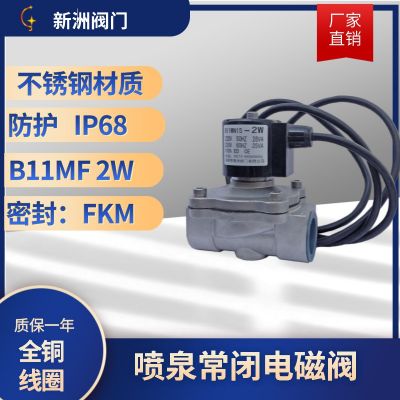 電磁閥消防、防水 、潛水、噴泉 220V/24V 水閥新洲不銹鋼電磁閥