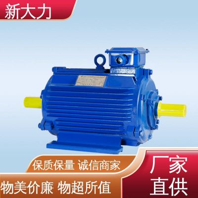 應(yīng)用廣泛 起重及冶金用 維護(hù)方便 三相異步電動(dòng)機(jī) 新大力
