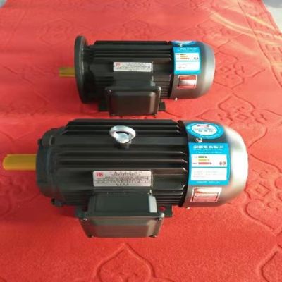 YX3三相異步電動機(jī) 品質(zhì)優(yōu)選低壓 超高效 特中電機(jī)