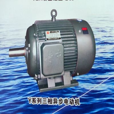 Y系列三相異步電動機(jī) 節(jié)能低壓大功率電機(jī) 變頻調(diào)速 特中