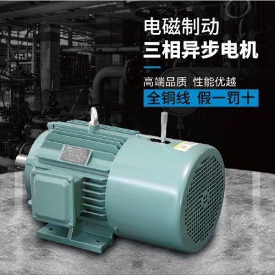 高科 YEJ2系列電磁制動(dòng)三相異步電動(dòng)機(jī) 電磁制動(dòng)電機(jī) 剎車電機(jī)