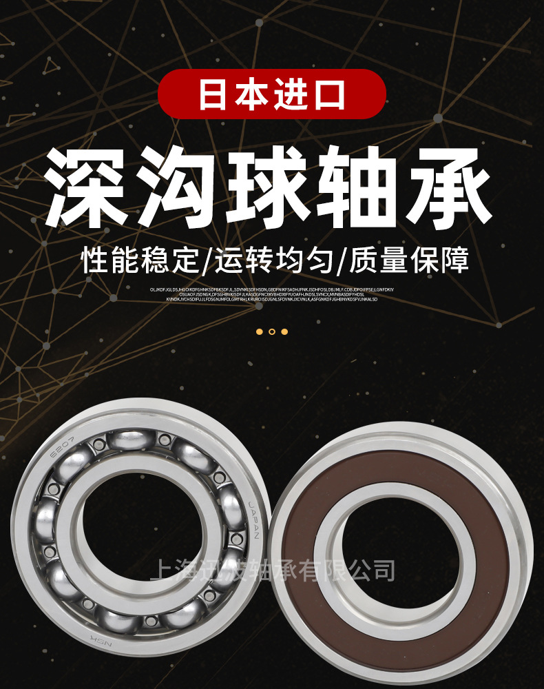 上海迅波軸承-NSK深溝球軸承改色_01.jpg