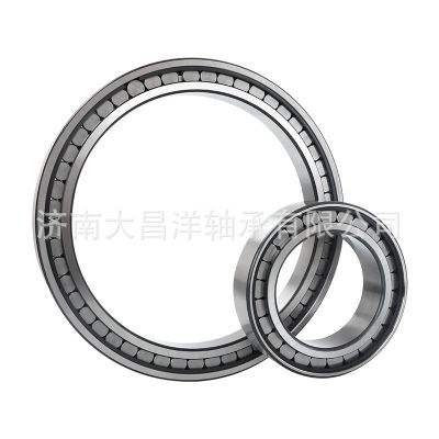 SL185004軸承 NNCF5004CV單向定位軸承 原廠雙列滿裝圓柱滾子軸承