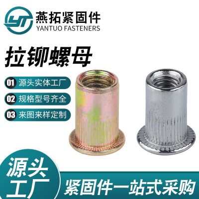 拉鉚螺母 鍍彩鋅平頭豎紋鉚螺母滾花拉鉚母 鍍鋅平頭半六角
