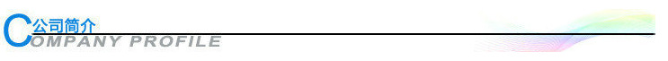 公司簡介