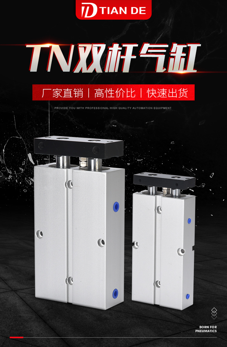 TN雙桿氣缸_01