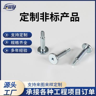 異形螺栓 非標異型螺栓 異形件特殊臺階螺栓 來圖來樣異型螺絲