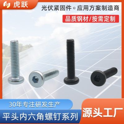廠家生產(chǎn)家具螺絲 平頭內(nèi)六角螺栓 4.8級(jí)碳鋼 鍍藍(lán)白鋅 黒鋅M6 M8