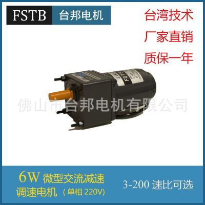 廠家直銷微型電機(jī)FSTB佛山臺邦6W調(diào)速電機(jī)馬達(dá)2IK6RGN-C/2GN