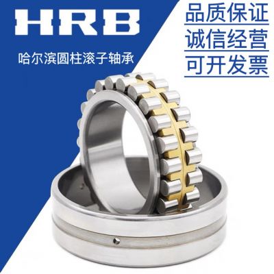 哈爾濱軸承 RN205M RN309M