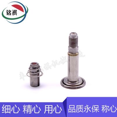 電磁閥配件 不銹鋼材質(zhì)純鐵鐵芯 動鐵芯 先導(dǎo)頭組件 汽車配件