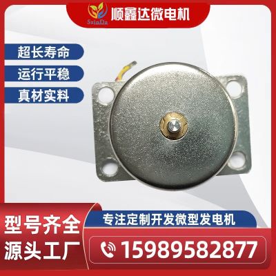 微型發(fā)電機/30W發(fā)電機/健身器材腳踩發(fā)電機