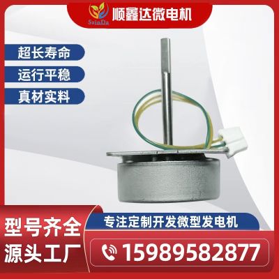 DIY發(fā)電機(jī)/2W發(fā)電機(jī)/微型發(fā)電機(jī)