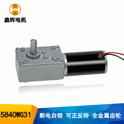 5840渦輪蝸桿減速馬達(dá)24V靜音自鎖窗簾電機(jī)31直流減速電機(jī)