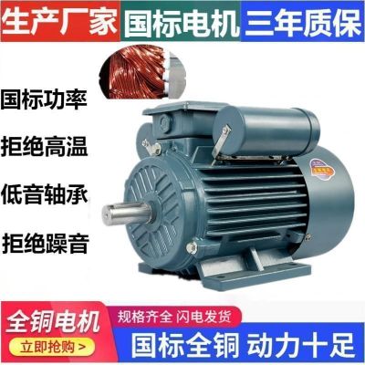 國標純銅單相電機220V單相雙值電容電機0.37~7.5KW臥 式立式電機