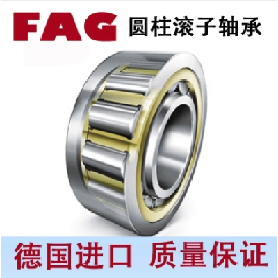 FAG兩片式滾子引導(dǎo)黃銅保持架圓柱滾子軸承NU2244-EX-TB-M1