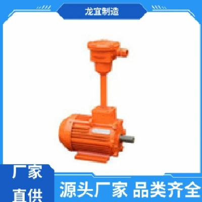 龍宜制造 微型防爆伺服電機(jī) 防銹耐腐蝕 多規(guī)格 低噪運(yùn)行