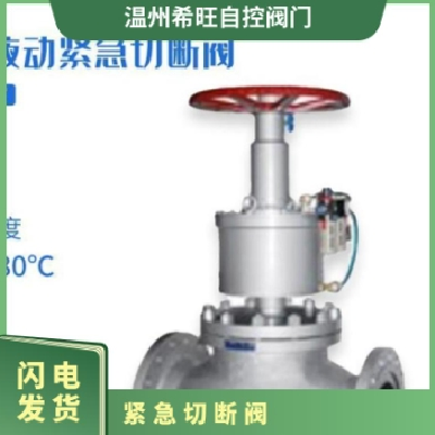 希旺閥門QDY421F氨用液動(dòng)緊急切斷閥可非標(biāo)定制