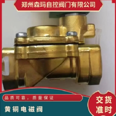 SENMA美國進(jìn)口ASCO黃銅電磁閥SCE238D001 24DC