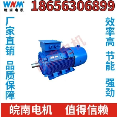 低壓電機(jī) 皖南電機(jī) 節(jié)能超高效 可定制 工廠直營(yíng)