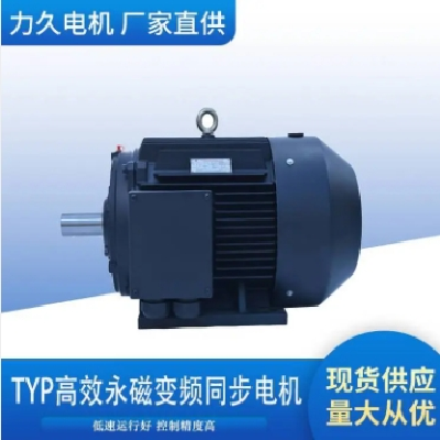 力久特種電機(jī)TYP系列高效永磁變頻同步電機(jī)可定制