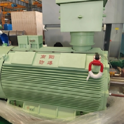 Y3-355～560系列高壓普通型三相異步電動(dòng)機(jī) 二級(jí)能效