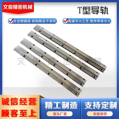 機床導(dǎo)軌重載直線軸承燕尾槽鑲鋼三角矩形V型滾輪齒條導(dǎo)軌滑軌道