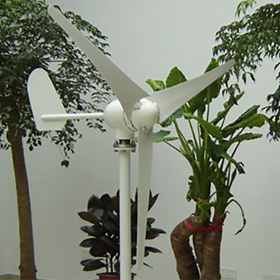 SH-B型風(fēng)電水平軸 600W風(fēng)力發(fā)電家用風(fēng)光互補(bǔ)用小型風(fēng)力發(fā)電機(jī)