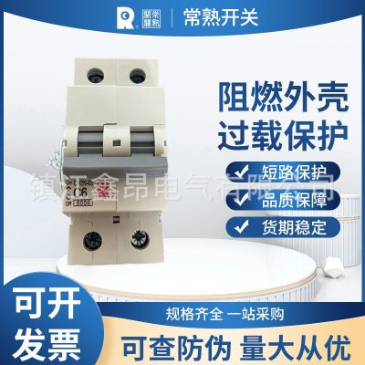 常熟開關(guān)CH3N-40系列小型斷路器 1N 6A 10A 16A 20A 25A 32A 40A