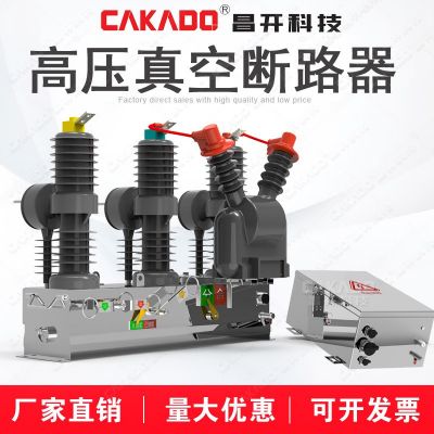 廠家直銷ZW32-12F/T630-20戶外高壓智能分界真空斷路器 價優(yōu)