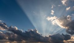 豐田汽車，亂中求治