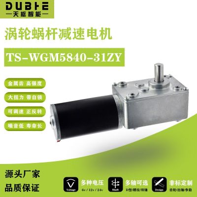 5840-31ZY渦輪蝸桿直流減速電機12v24調(diào)速自鎖齒輪大 扭矩雙軸馬達(dá)