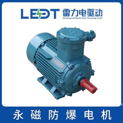 永磁防爆電動機(jī) TBYPCX132/160/180/200/225/280/315/355—1000