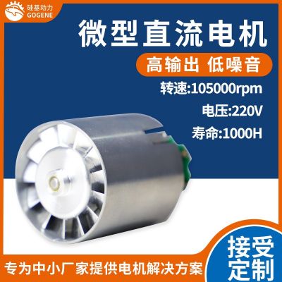 硅基動(dòng)力10W轉(zhuǎn)無(wú)刷直流電機(jī)高轉(zhuǎn)速大功率干手機(jī)吹風(fēng)筒電吹風(fēng)馬達(dá)