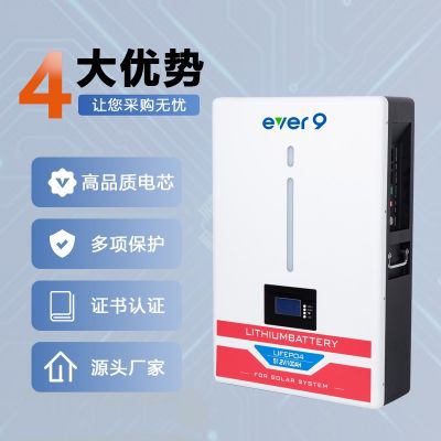 51.2v 5度/10度15度電家庭用太陽能光伏磷酸鐵鋰儲能壁掛式鋰電池