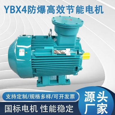 廠家現(xiàn)貨YBX4系列防爆高效節(jié)能電機防爆型三相異步電動機防爆電機
