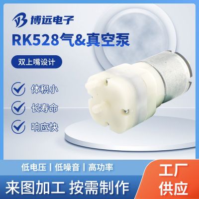 RK528氣真空泵雙上嘴電機馬達 美容儀微型直流電機馬達現(xiàn)貨批發(fā)