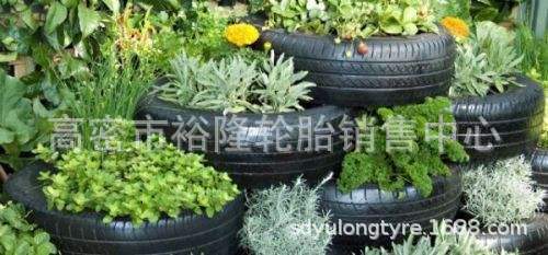 eeda4b3254d5ede1140dec21a7a418