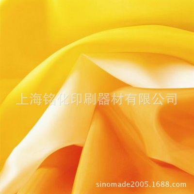 供應(yīng)意大利紗帝SAATI網(wǎng)紗/紗帝黃網(wǎng)/進口黃網(wǎng)/進口白網(wǎng)