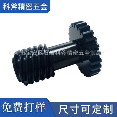 小模數(shù) 4頭渦輪蝸桿 齒輪蝸桿 專業(yè)生產(chǎn)各種圓柱齒輪軸