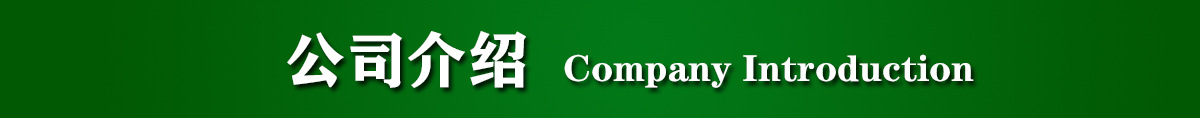 公司介紹