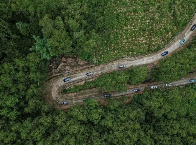 微信截圖_20250623103132