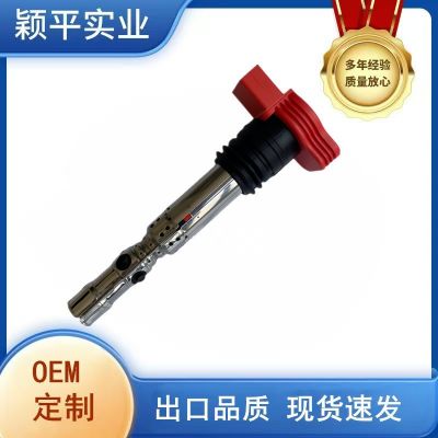 06C905115L適用于奧迪A4A63.0A8點(diǎn)火線圈高壓包汽車配件