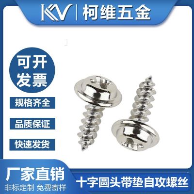 PWA自攻螺絲自帶介子圓頭小螺絲自攻鐵螺釘加大墊片十字螺絲尖尾