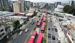 中國(guó)汽車在厄單月銷量占比超五成