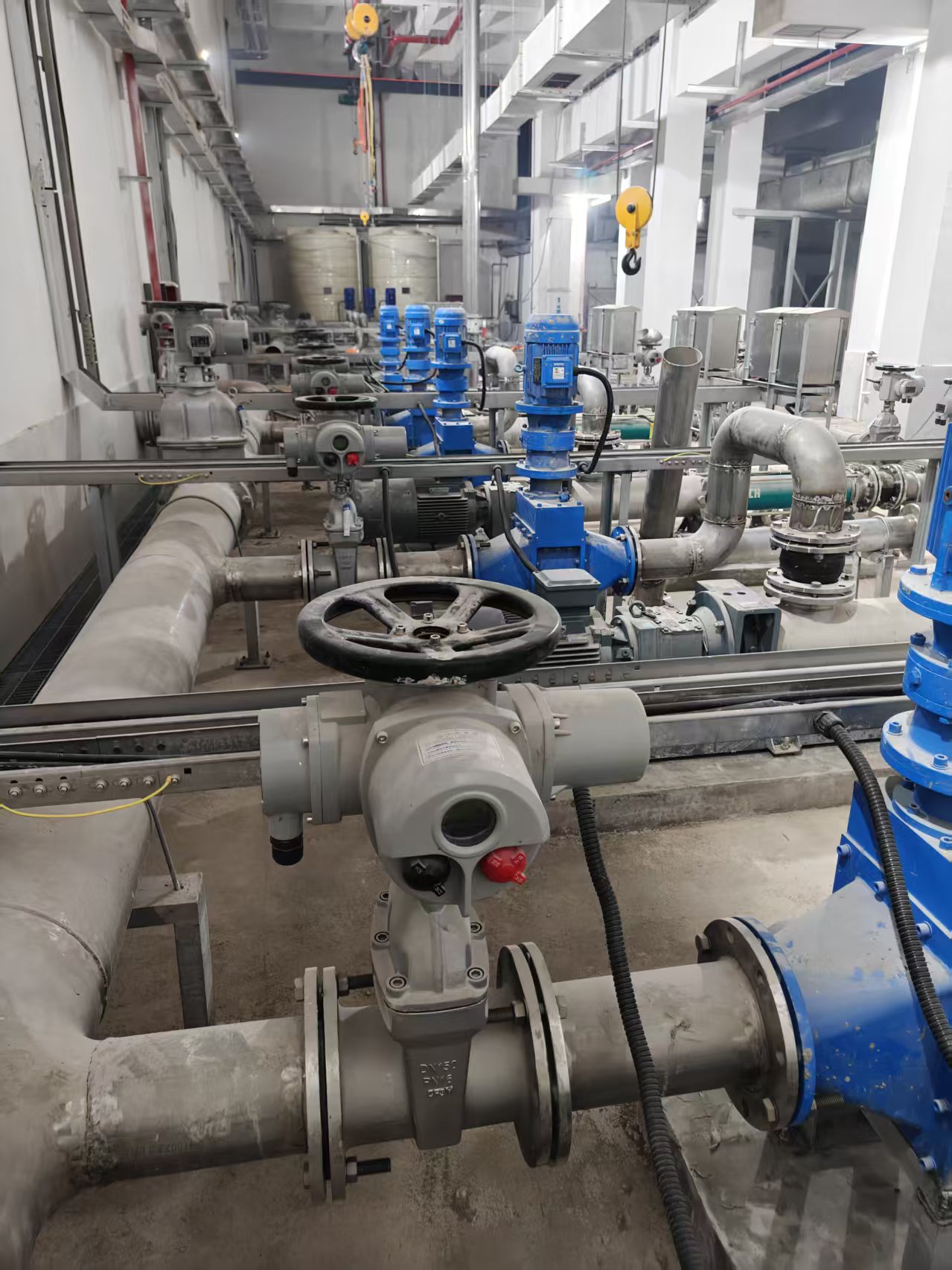 微信圖片_20250527202237