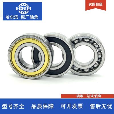 HRB 哈爾濱軸承 6304 6305 6306 6307 2Z 2RZ 高速 原廠正品